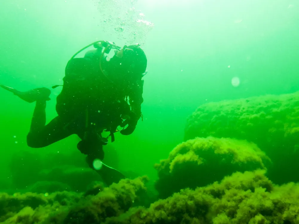 Karlskrona kommun Dykare vid Ekenabben