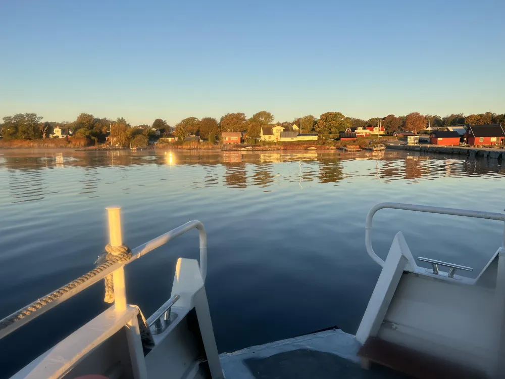 BOAT - M/S Estelle