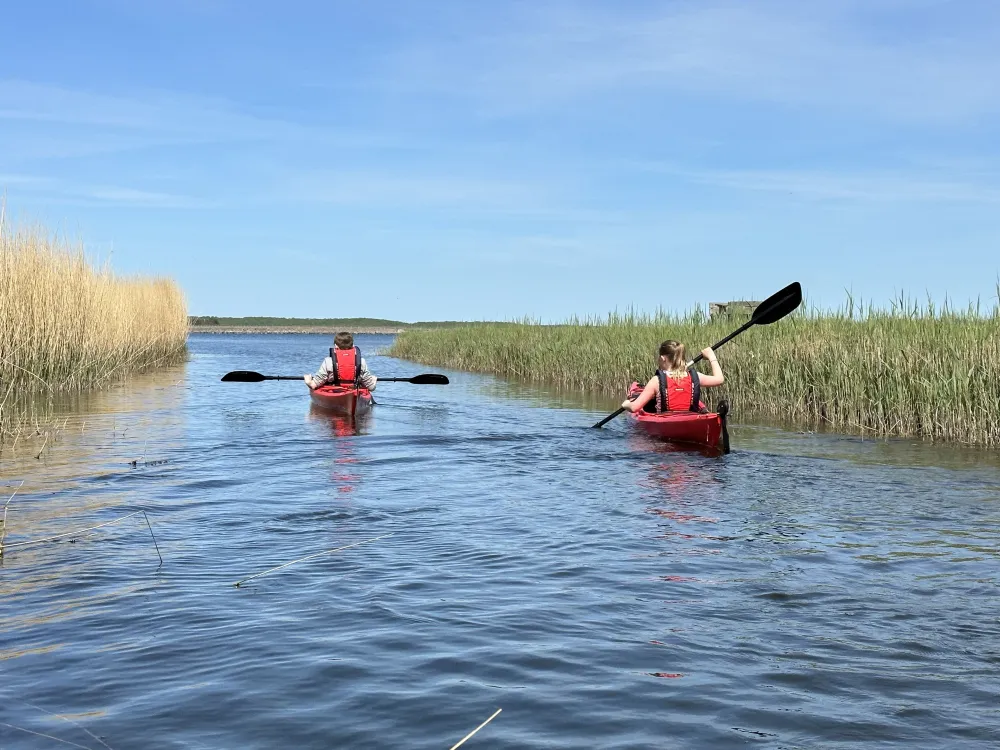 Hasslö Kayaks