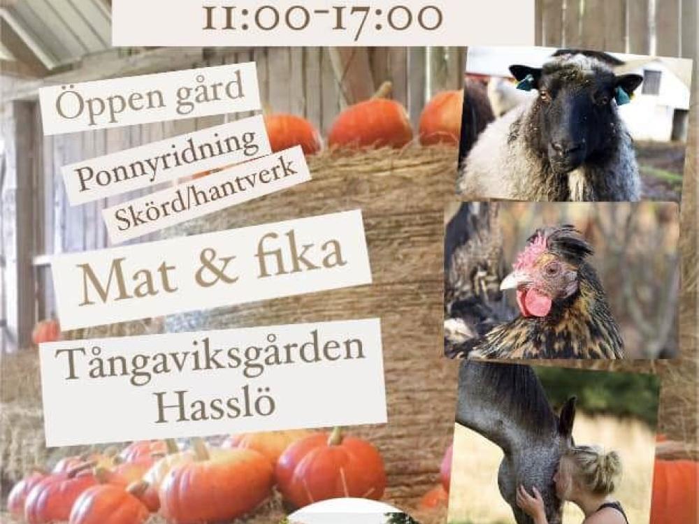 Hasslö's Harvest Festival 2023