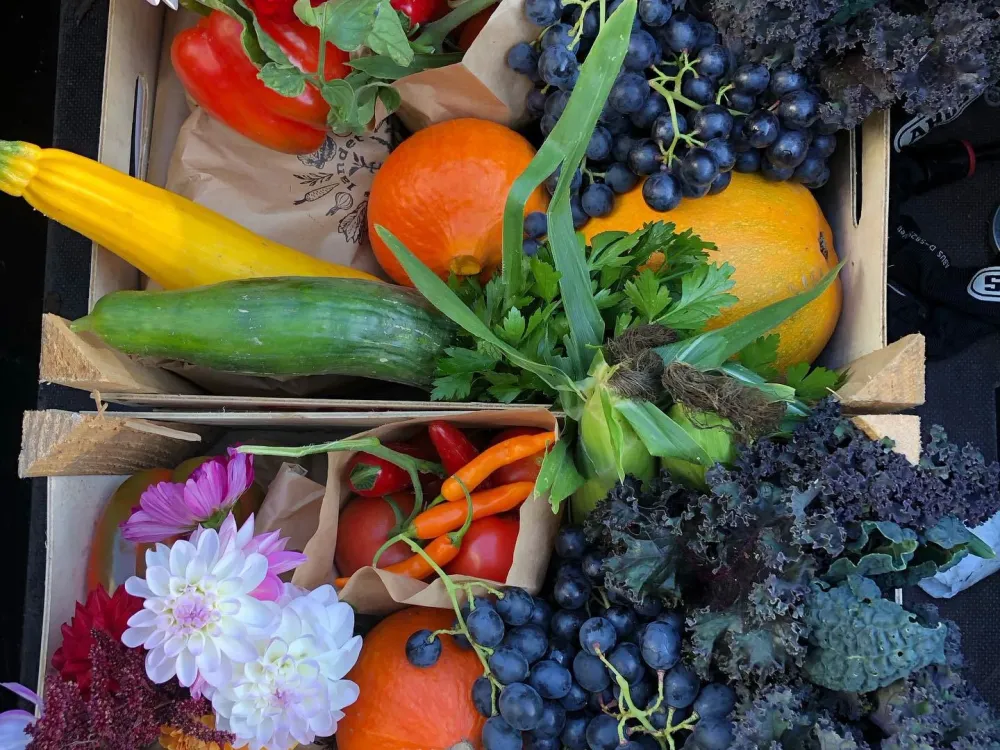 LANDET gastronomi & agrikultur - gårdsbutik