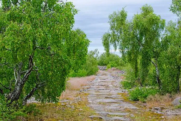 Tjurkö Historic Trail