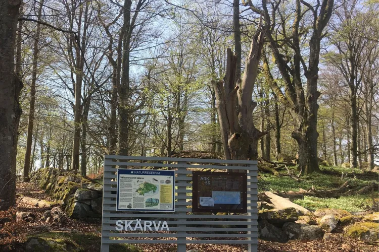 ÄlskaVår - Ekovegoservering & Trädgårdsvandring, Skärva Gård