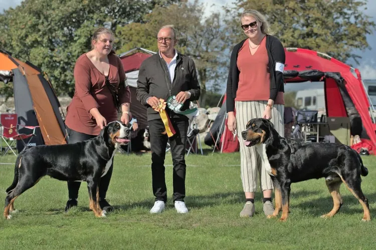 Hundshow - Många vackra hundar i ljuvliga Kristianopel