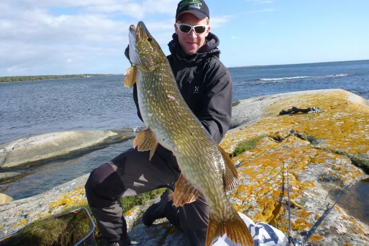 man med fisk