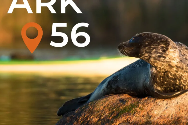 ARK56 - leder för vandring, cykel, paddling och segling