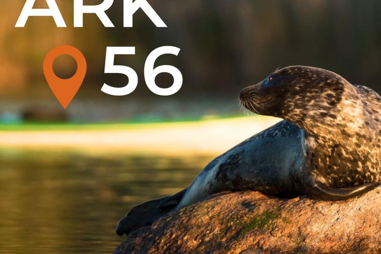 ARK56 - trails for kayaking, hiking, cycling and sailing