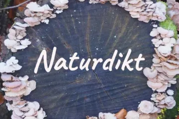naturdikt