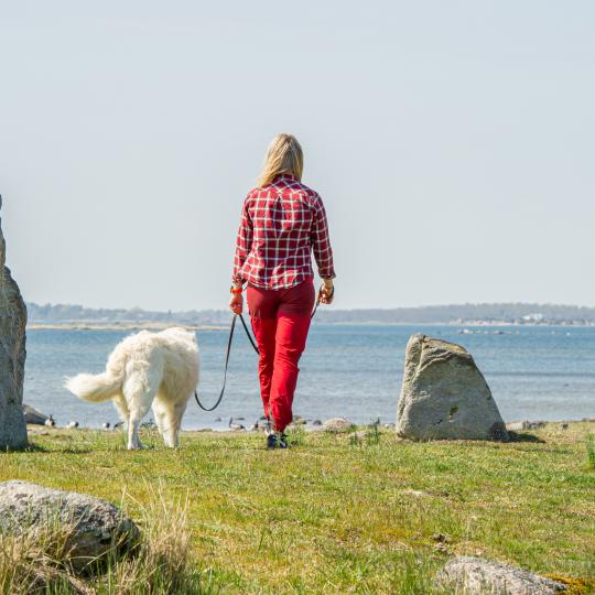 Kvinna promenerar med hund